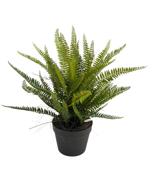 Plante artificielle Boston Fern 53 cm