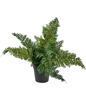 Plante artificielle Fougère 33 cm