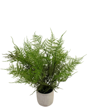 Plante artificielle Asparagus 43 cm dans un pot ornemental