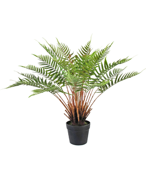 Plante artificielle Fougère 66 cm