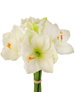 Fleur artificielle Amaryllis blanc 36 cm