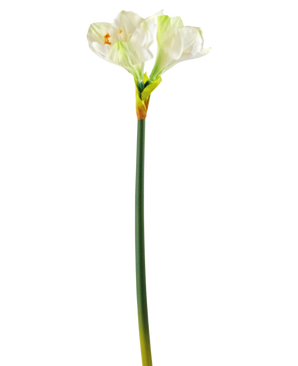 Fleur artificielle Amaryllis blanc 66 cm