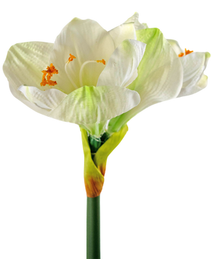 Fleur artificielle Amaryllis blanc 66 cm