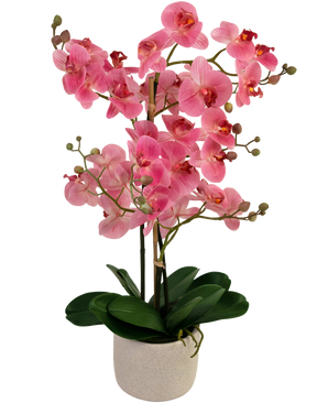 Orchidée artificielle Real Touch 68 cm Real Touch rose