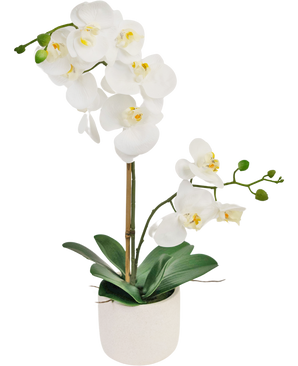 Orchidée artificielle Real Touch 60 cm blanc