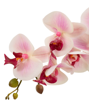 Orchidée artificielle Real Touch 60 cm rose/blanc
