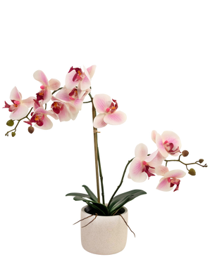 Orchidée artificielle Real Touch 60 cm rose/blanc