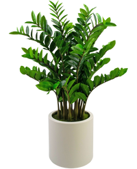 Plante artificielle Zamioculcas 120 cm prête à l'emploi dans pot beige