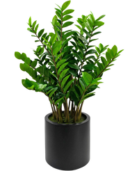 Plante artificielle Zamioculcas 120 cm prête à l'emploi dans pot beige