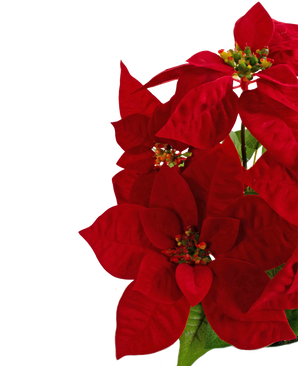 Plante artificielle Poinsettia 44 cm rouge