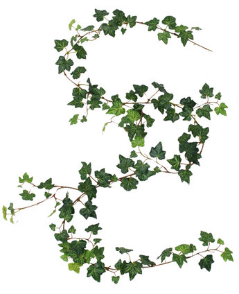 Een Kunst hangplant Klimop slinger deluxe van 180 cm, groen, is gedrapeerd in de vorm van een S op een witte achtergrond.