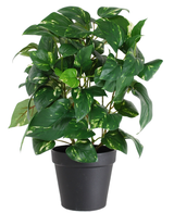 De Kunstplant Gouden Wijnstok in Pot 40cm heeft hartvormige groene bladeren met gele schakeringen, gepresenteerd in een strakke zwarte pot en tegen een witte achtergrond.