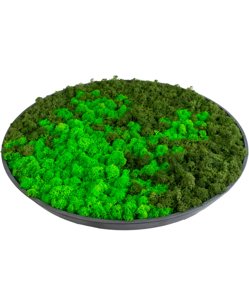 Cadre vegetal artificiel en mousse Ø44,5 cm