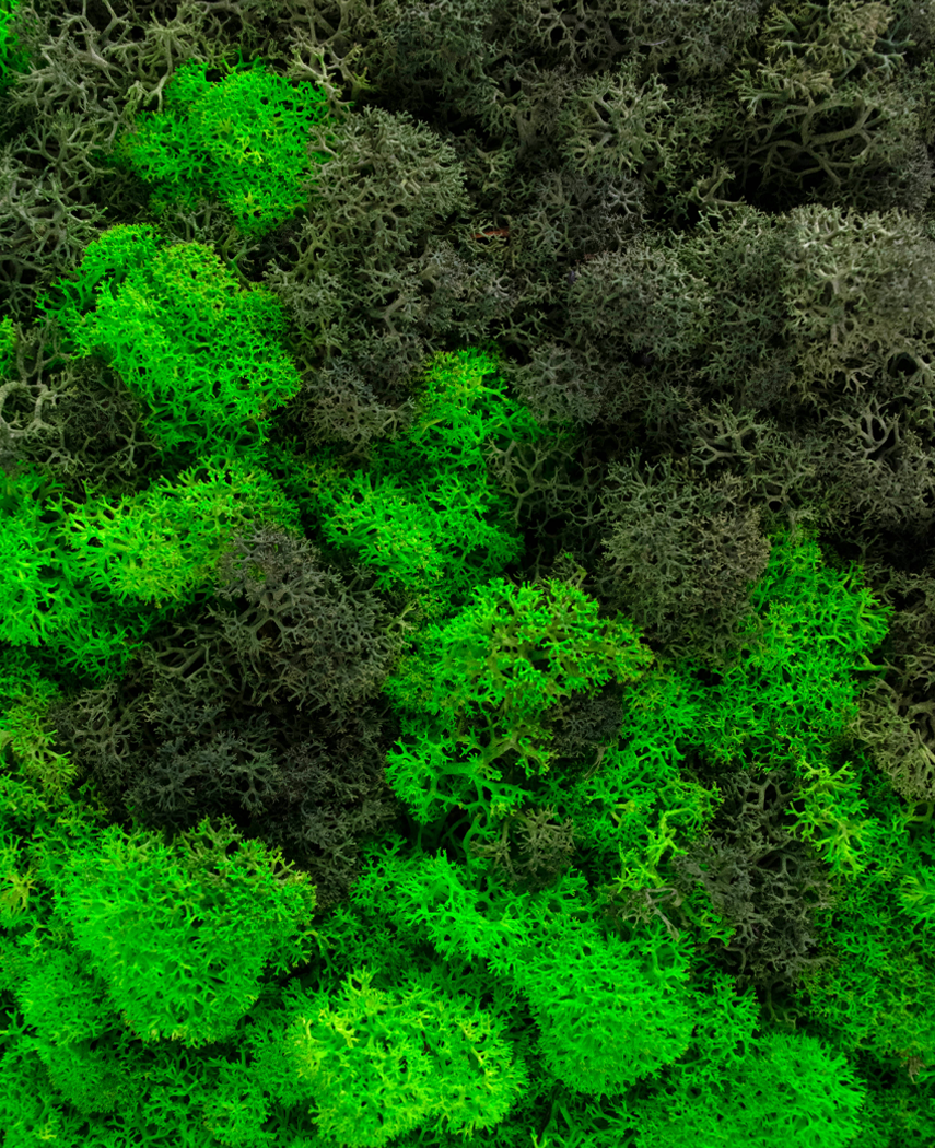 Cadre vegetal artificiel en mousse Ø44,5 cm