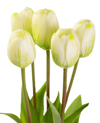 Bouquet de tulipes artificielles Real Touch Vert/Blanc 40 cm