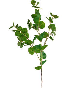 Branche artificielle Eucalyptus Classic vert 70 cm