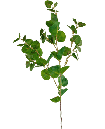 Branche artificielle Eucalyptus Classic vert 70 cm