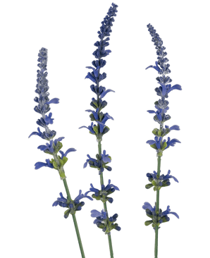 Branche artificielle Lavande bleu 66 cm