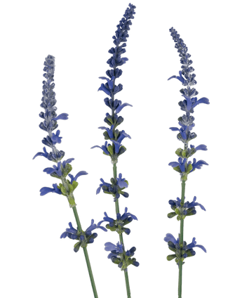 Branche artificielle Lavande bleu 66 cm