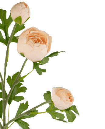 Branche artificielle de renoncules x5 Real Touch rose 62 cm