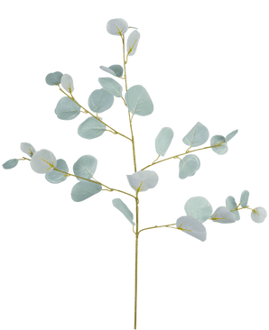Branche d'eucalyptus artificielle 84 cm