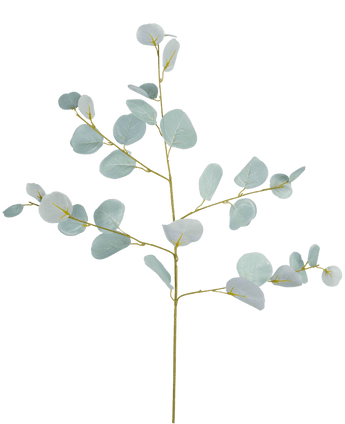Branche d'eucalyptus artificielle 84 cm