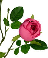 Branche de rose artificielle Real Touch rose foncé 72 cm