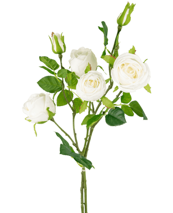 Branche de rose artificielle double Real Touch blanc 80cm