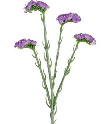 Branche de statice artificiel violet 64 cm