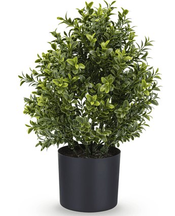 Buis artificiel UV style romain 36 cm