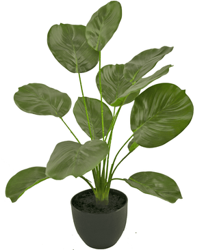 Calathea artificiel vert dans un pot décoratif noir 58 cm