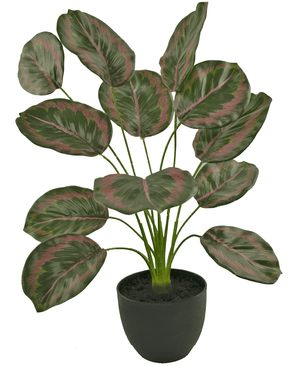 Calathea artificiel vert/rouge dans un pot décoratif noir 58 cm