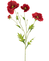 Coquelicot artificiel Real Touch Red 65 cm