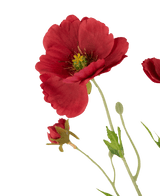 Coquelicot artificiel Real Touch Red 65 cm