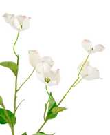 Cornouiller artificiel Real Touch blanc 74 cm