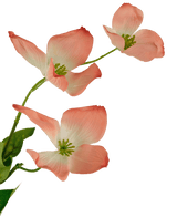 Cornouiller artificiel Real Touch rose clair 74 cm