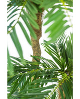 Cycas Palmier artificiel Classic 165 cm