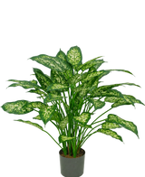 Een kunstplant Dieffenbachia van 75 cm met weelderige groene bladeren, versierd met lichtgeelgroene aftekeningen, afgebeeld tegen een effen witte achtergrond.