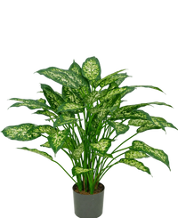 Plante artificielle Dieffenbachia 75 cm