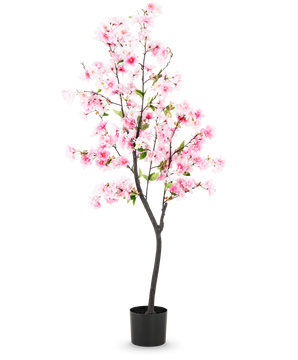 De Kunst Kersenbloesem 150 cm roze heeft roze zijden bloemen en groene bladeren in een zwarte pot, tegen een effen witte achtergrond.