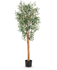 Olivier artificiel 160 cm UV
