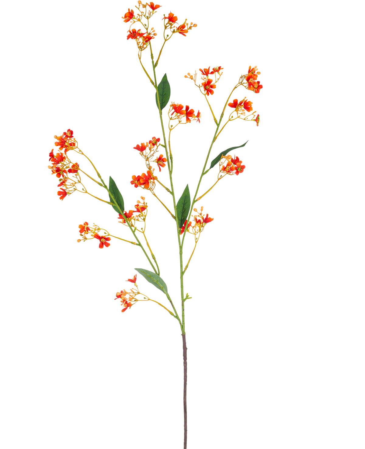 La Branche Artificielle Daphné Spray 108 cm orange possède une seule et longue branche artificielle avec de petites fleurs orange vif et des feuilles vertes, sur un fond blanc uni.