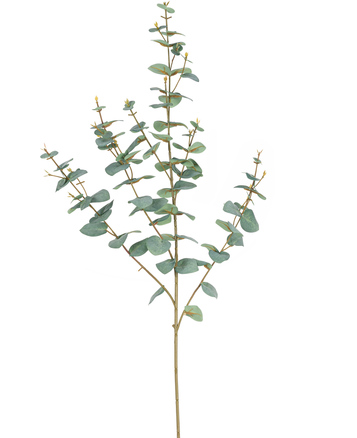 L'Eucalyptus Artificiel 96 cm possède des tiges élancées et des feuilles rondes bleu-vert, élégamment présentées sur un fond blanc uni.
