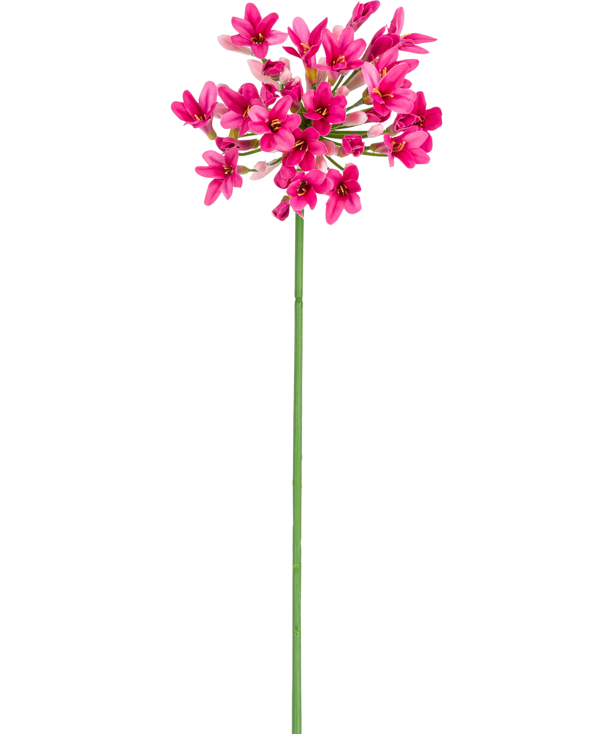 La Fleur Artificielle Agapanthe 77 cm rose possède une seule tige verte avec plusieurs bouquets de fleurs rose vif, chacune comportant plusieurs pétales, sur un fond blanc uni.