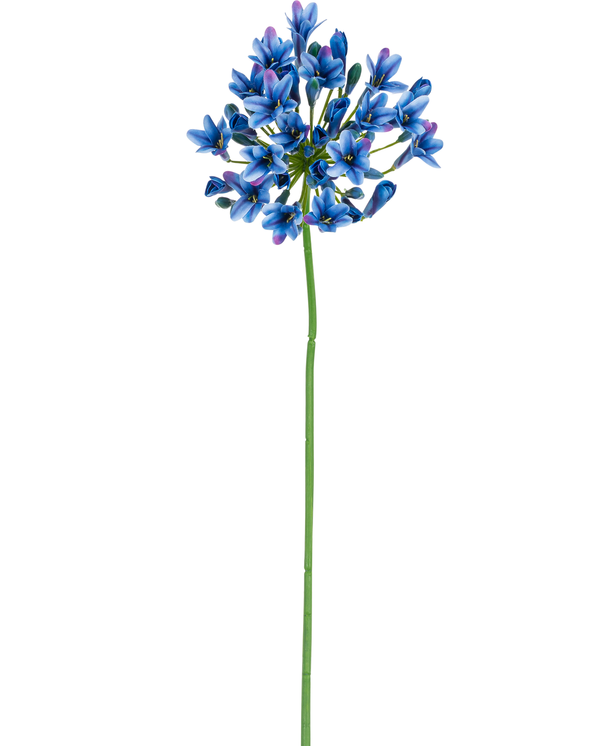 La fleur artificielle Agapanthe 77 cm bleue a une longue tige verte avec un bouquet de fleurs bleues et violettes éclatantes sur un fond blanc uni.