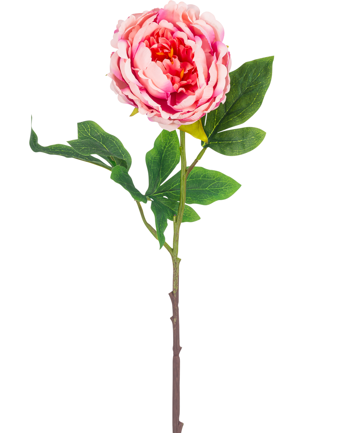 La Fleur Artificielle Pivoine 61 cm rose a une seule pivoine rose avec des feuilles vertes luxuriantes et une longue tige brune, isolée sur un fond blanc.