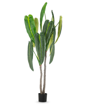 Plante artificielle Anthurium 210 cm