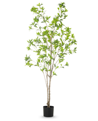 Plante artificielle Pieris Japonica 180 cm