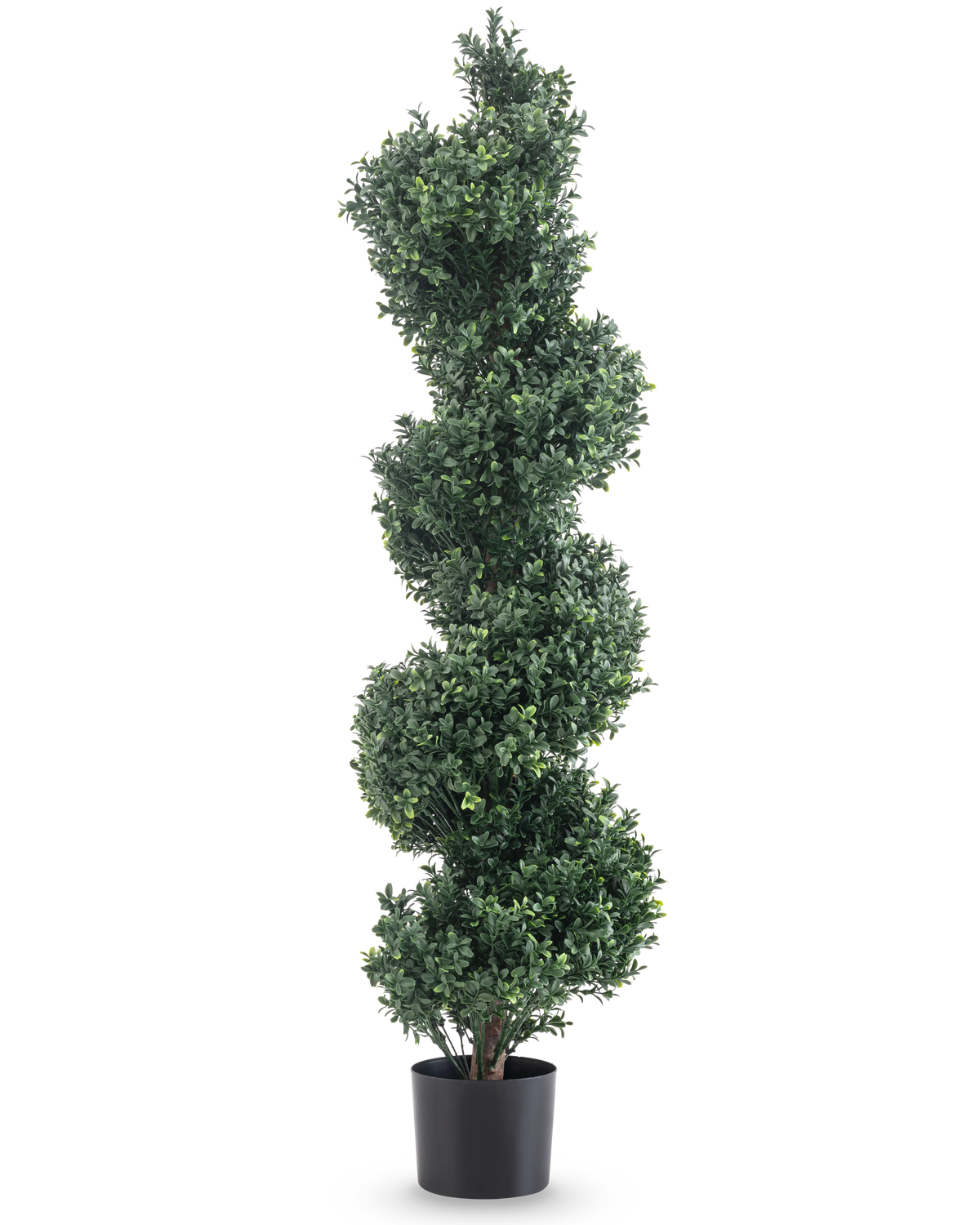 Le Buis Artificiel Spirale Style Romain UV 120 cm est un topiaire artificiel aux feuilles vertes denses en spirale, dans un simple pot noir et sur un fond blanc.