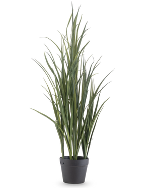 Le Gazon Artificiel Vert UV 90 cm est une grande plante artificielle aux feuilles vertes longues et fines qui se dressent dans un pot gris foncé sur un fond blanc uni.